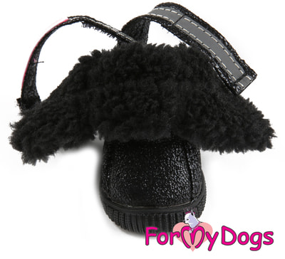 ForMyDogs       (,  2)