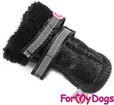 ForMyDogs       (,  3)