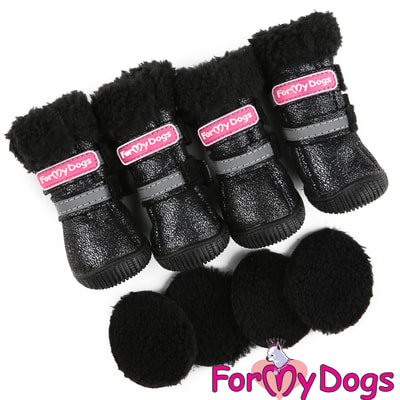 ForMyDogs       (,  4)