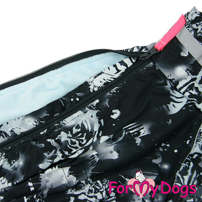 ForMyDogs     - /   (,  2)