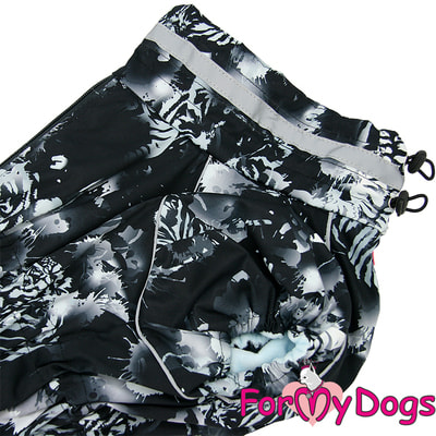 ForMyDogs     - /   (,  3)