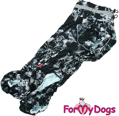 ForMyDogs     - /   (,  4)