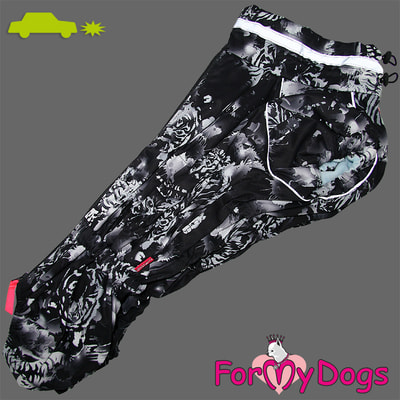 ForMyDogs     - /   (,  5)