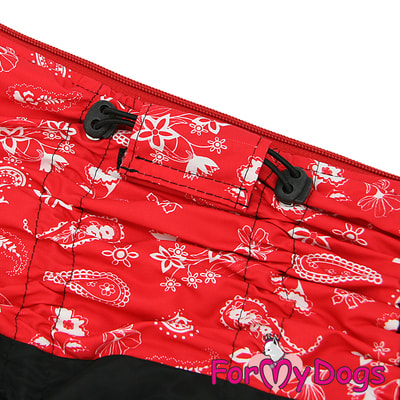 ForMyDogs    - /   (,  2)