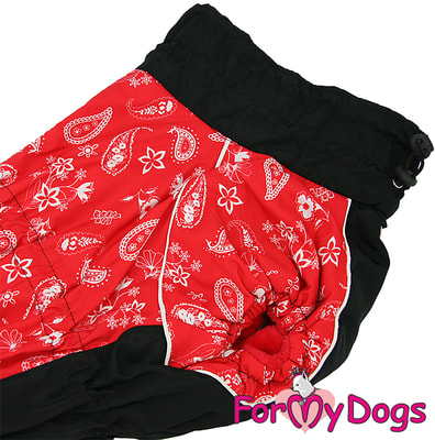 ForMyDogs    - /   (,  3)