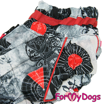 ForMyDogs        (,  4)