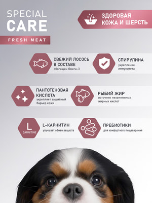 ����� ���� Award SPECIAL CARE Sensitive Skin+Coat ��� �������� ����� ���� ����� ��� �������� ���� � ������ �� ������ ������� (����, ��� 2)