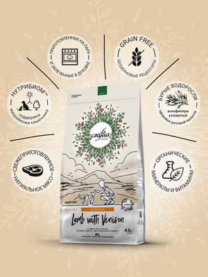   Craftia HARMONA        (,  2)