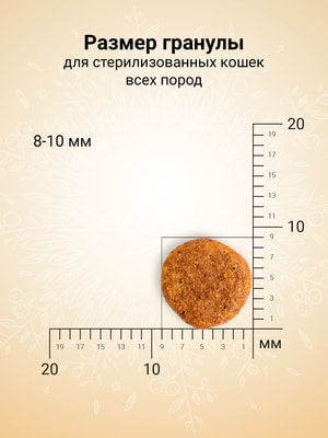   Craftia HARMONA        (,  4)