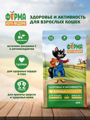 ����� ���� ����� ���� Ը���� ��� �������� ����� � ������� (����, ��� 3)