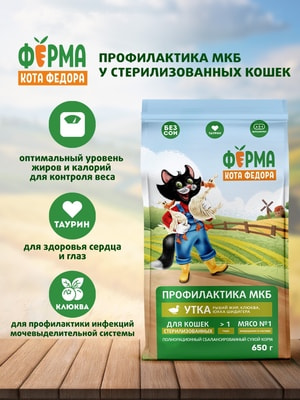 ����� ���� ����� ���� Ը���� ��� �������� ��������������� ����� � ����� (����, ��� 1)