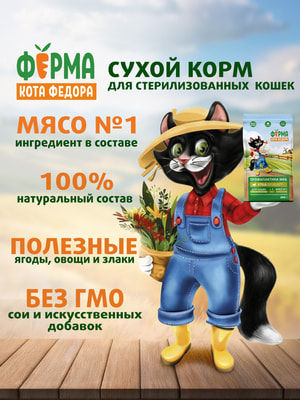 ����� ���� ����� ���� Ը���� ��� �������� ��������������� ����� � ����� (����, ��� 3)