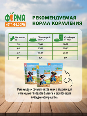 ����� ���� ����� ���� Ը���� ��� �������� ��������������� ����� � ����� (����, ��� 5)