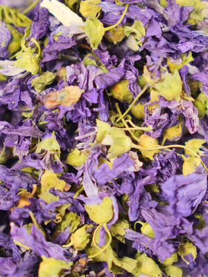 Bambini Pets ��������� ���������� ������ ������ ��� �������� � �������� (����, ��� 4)