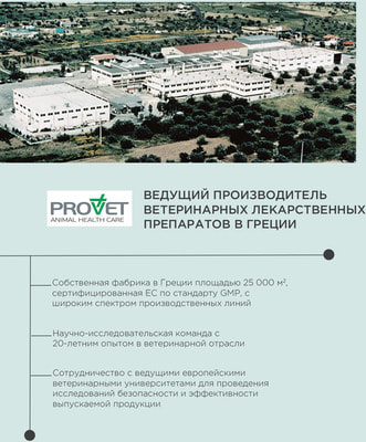 ProPhyto Жидкий шампунь ALWAYS FRESH с растительными экстрактами для регулярного гигиенического очищения кожи и шерсти собак (вид 5) ProPhyto Жидкий шампунь ALWAYS FRESH с растительными экстрактами для регулярного гигиенического очищения кожи и шерсти собак (фото, вид 5)