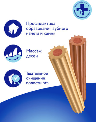 ����� DENTAL ��������� ��� ����� ������ ������� � ��������� (����, ��� 3)