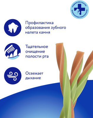 ����� DENTAL ��������� ��� ����� �������� ������� � �������� � ����� (����, ��� 1)