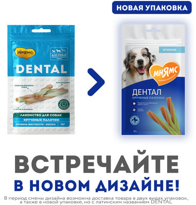 ����� DENTAL ��������� ��� ����� �������� ������� � �������� � ����� (����, ��� 4)