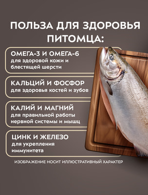 ����� ��������� ��������� ������ ��-��������� ��� ����� (����, ��� 2)