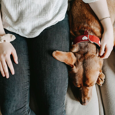 Hunter ������� ��� ����� Love ����������� ���� �������/����� (����, ��� 5)