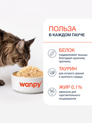 Wanpy Cat Дополнительный консервированный корм пауч для кошек курица в собственному соку (вид 1) Wanpy Cat Дополнительный консервированный корм пауч для кошек курица в собственному соку (фото, вид 1)