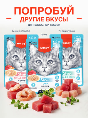 Wanpy Cat Дополнительный консервированный корм пауч для кошек курица в собственному соку (вид 2) Wanpy Cat Дополнительный консервированный корм пауч для кошек курица в собственному соку (фото, вид 2)