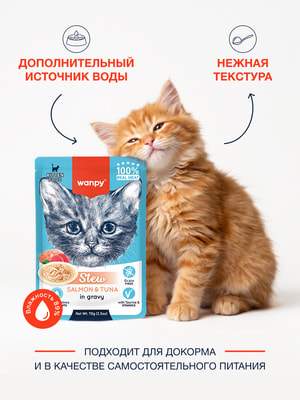 Wanpy Cat Дополнительный консервированный корм пауч для котят нежное рагу из лосося и тунца (вид 2) Wanpy Cat Дополнительный консервированный корм пауч для котят нежное рагу из лосося и тунца (фото, вид 2)