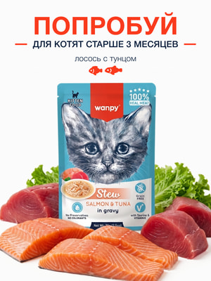 Wanpy Cat �������������� ���������������� ���� ���� ��� ����� ������ ���� �� ������ � ���� (����, ��� 1)