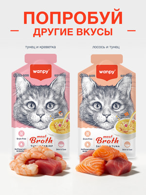 Wanpy Cat Пауч для кошек Бульон с уткой (вид 1) Wanpy Cat Пауч для кошек Бульон с уткой (фото, вид 1)