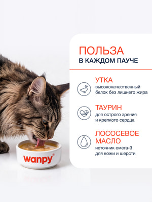 Wanpy Cat Пауч для кошек Бульон с уткой (вид 2) Wanpy Cat Пауч для кошек Бульон с уткой (фото, вид 2)