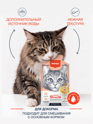 Wanpy Cat Пауч для кошек Бульон с лососем и тунцом (вид 1) Wanpy Cat Пауч для кошек Бульон с лососем и тунцом (фото, вид 1)