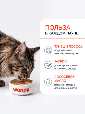 Wanpy Cat Пауч для кошек Бульон с лососем и тунцом (вид 4) Wanpy Cat Пауч для кошек Бульон с лососем и тунцом (фото, вид 4)