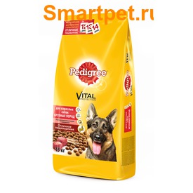 Pedigree       (,  1)