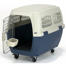 Marchioro    CAYMAN 4 715051 (,  1)