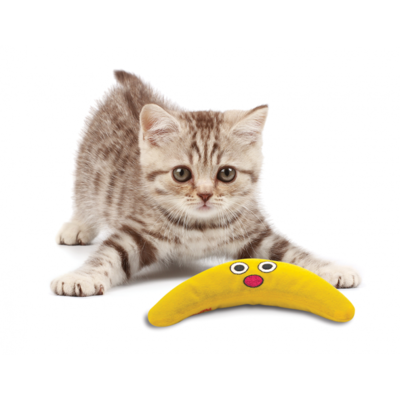 Petstages         (,  4)