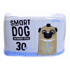 Smart Dog     60*60 (,  2)