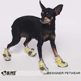 IS Pet     &quot; &quot; (,  2)