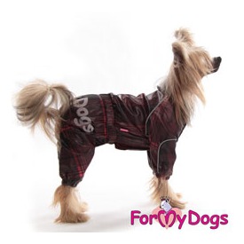 ForMyDogs    (,  2)