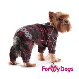 ForMyDogs    (,  3)