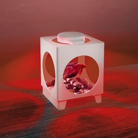 Tetra Betta Projector аквариум-проектор белый 1,8л (фото, вид 2)