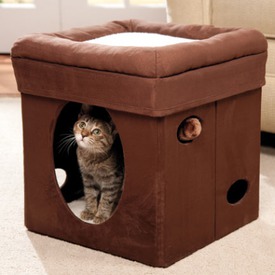 MidWest    Currious Cat Cube (,  4)