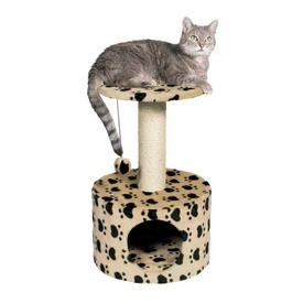 Trixie ����� ��� ����� Toledo (����, ��� 1)