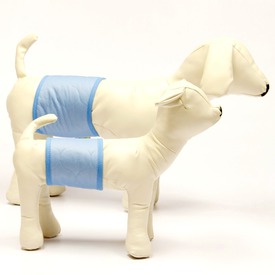 OSSO      Comfort (,  4)