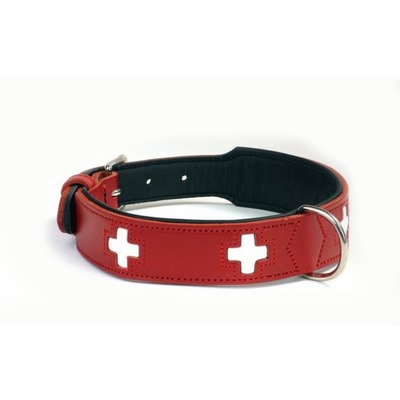 Hunter    Swiss  / (,  4)