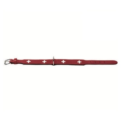 Hunter    Swiss  / (,  5)