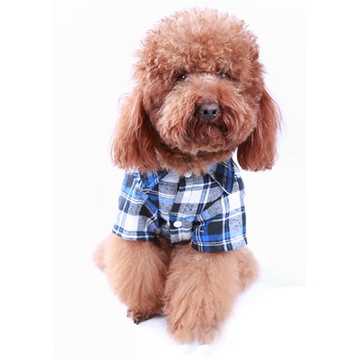 4 My Pets       (,  1)