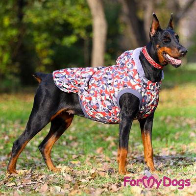 ForMyDogs        - (,  1)