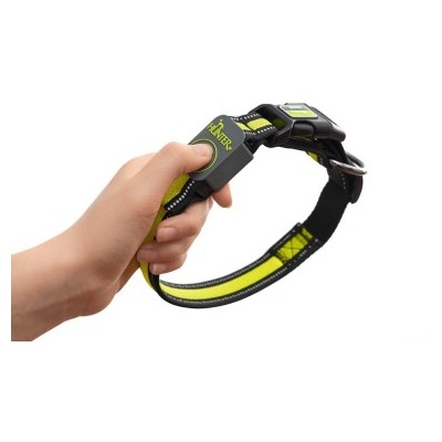 Hunter     Manoa Glow LED  (,  1)