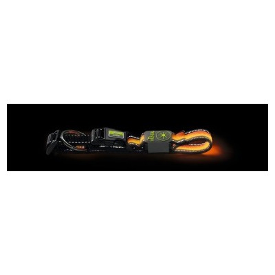 Hunter     Manoa Glow LED  (,  3)