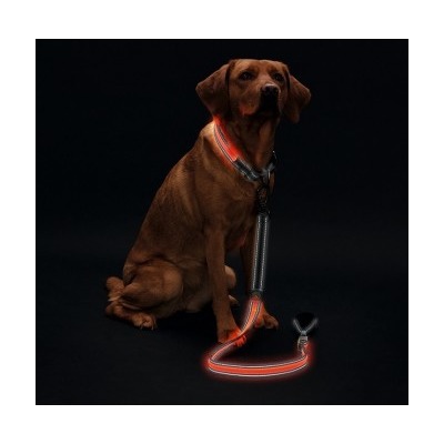 Hunter     Manoa Glow LED  (,  4)